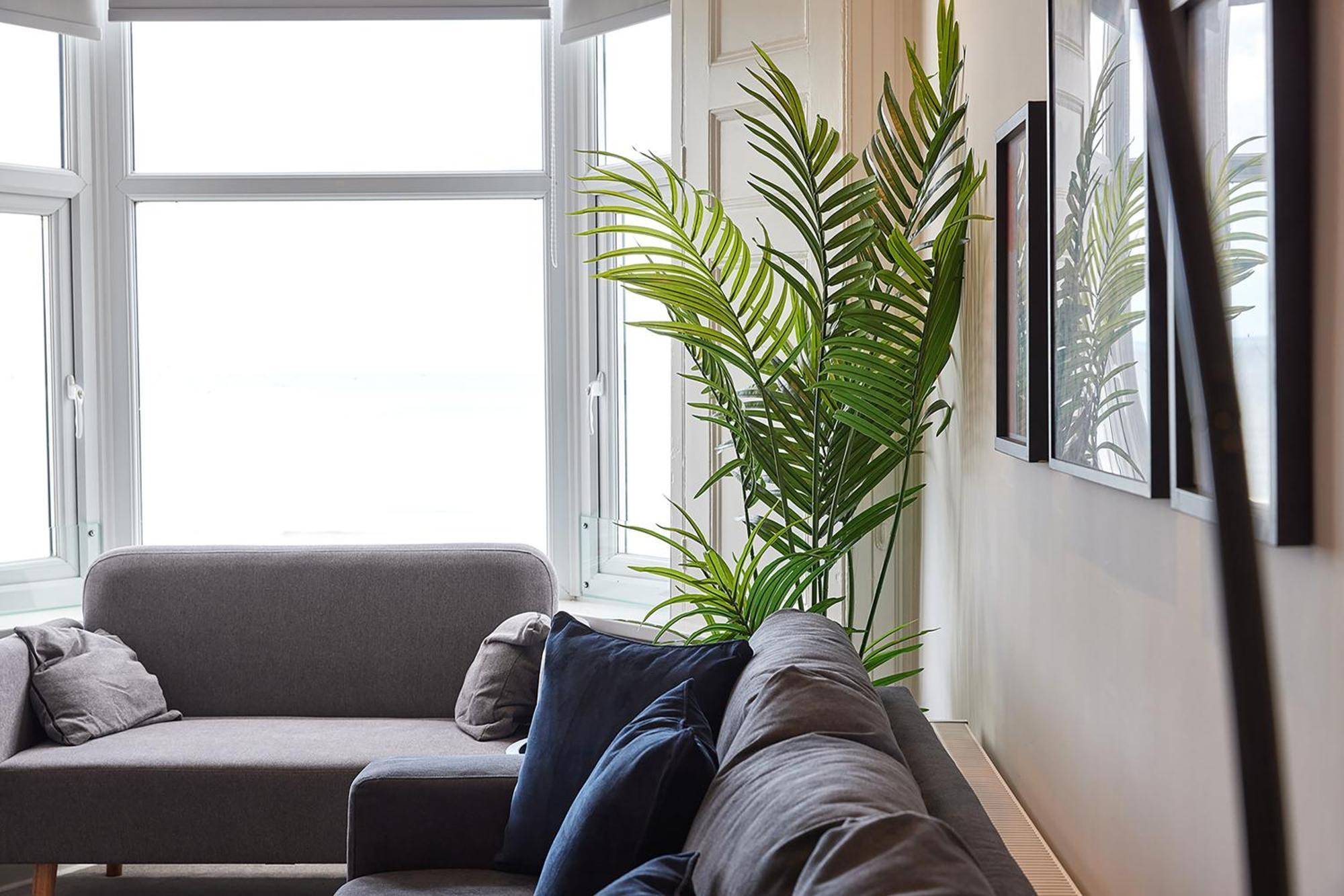 5 Roker Terrace - Seaview Apartments صندرلاند المظهر الخارجي الصورة